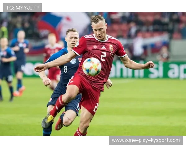 匈牙利加强集训备战 欧预赛前战绩历历在目，匈牙利队分析