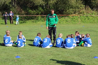 开云体育在线入口-中超赛事赛中战术调整频率，2021中超赛制详解