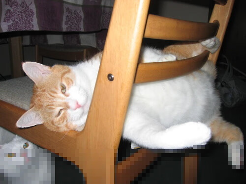 开云综合服务-五大联赛“追分大战”：追逐冠军的激烈角逐