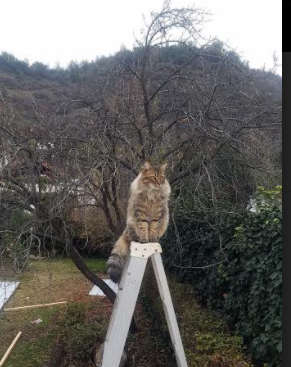 开云官网首页-“高新体育中心健力赛：选手们挑战极限重量，赛场气氛紧张”