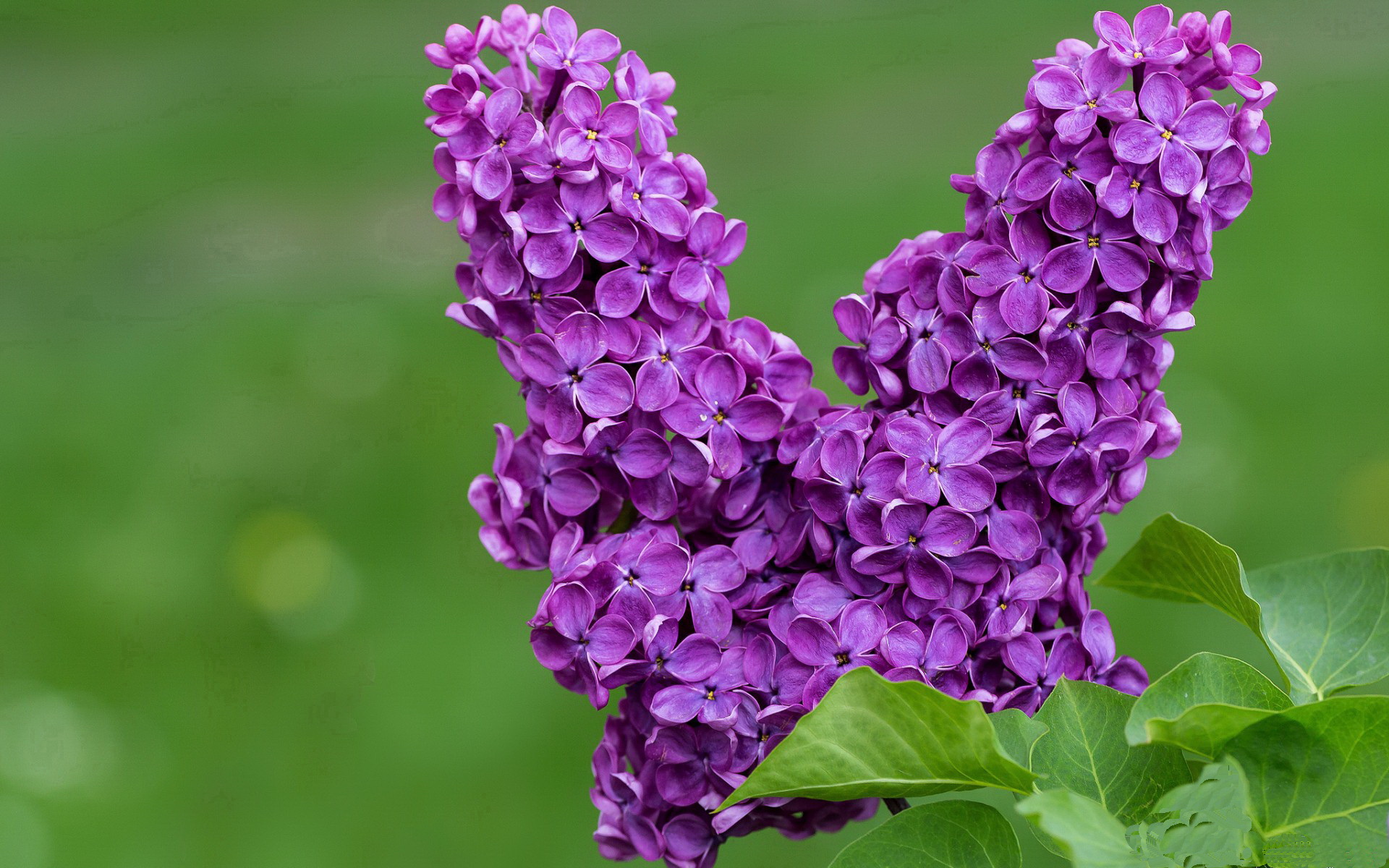 五大联赛门将扑救风格是否因战术演化而改变,门将十大扑救