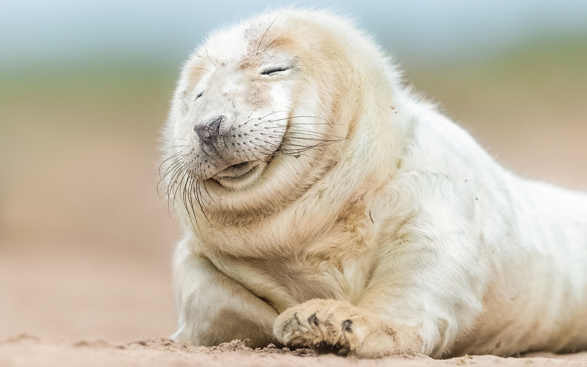 德国队如何适应国际乒联混合团体世界杯新赛制,德国乒乓球团体赛成员