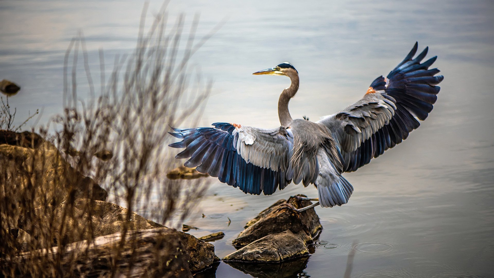 青少年选拔模式存在年龄焦虑问题,青少年选择奖