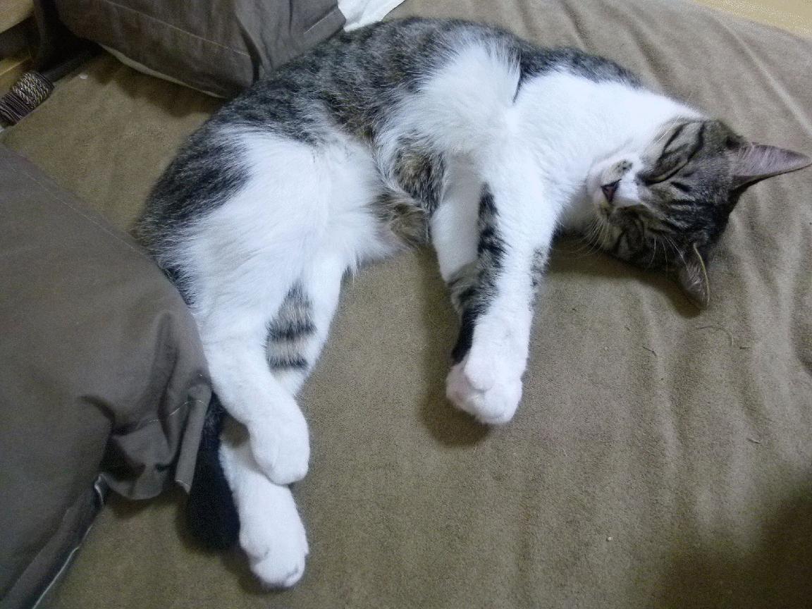 中乙联赛试点统一球员训练着装增强职业规范意识,中乙球员什么要求