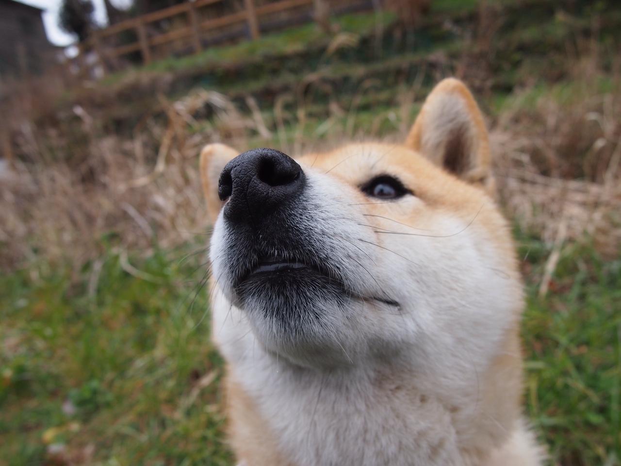 国际足联推动裁判全员培训，保证比赛判罚的专业性和公平性，国际足球比赛主裁判有几名