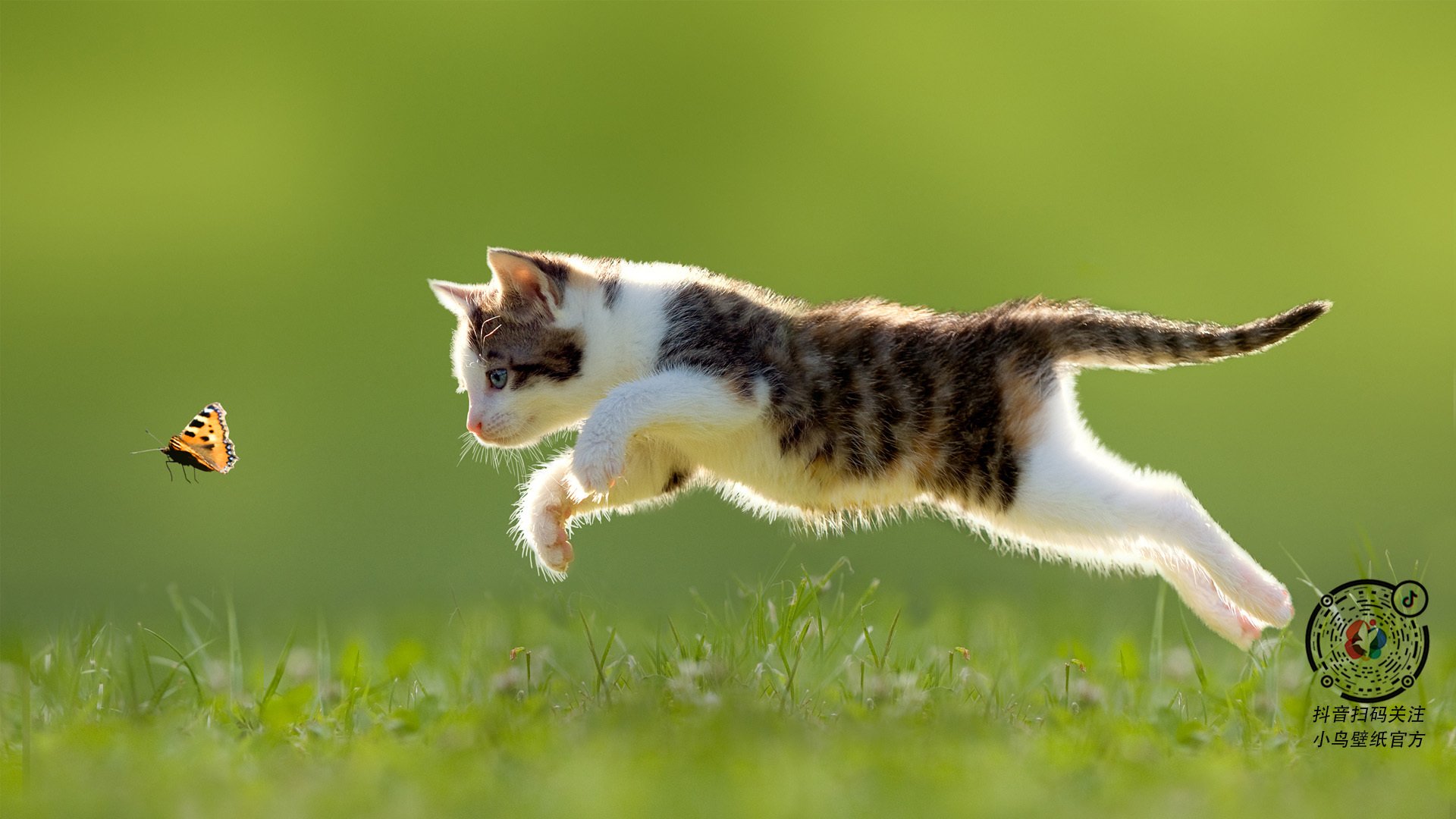 巴黎圣日耳曼创队史最佳赛季战绩,连续18场不败登顶法甲,巴黎圣日耳曼队首发阵容