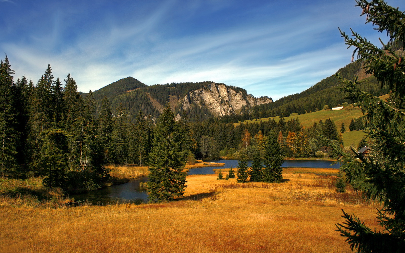 意甲冲突激烈：场上场下的精彩互动，意甲各队最新关系