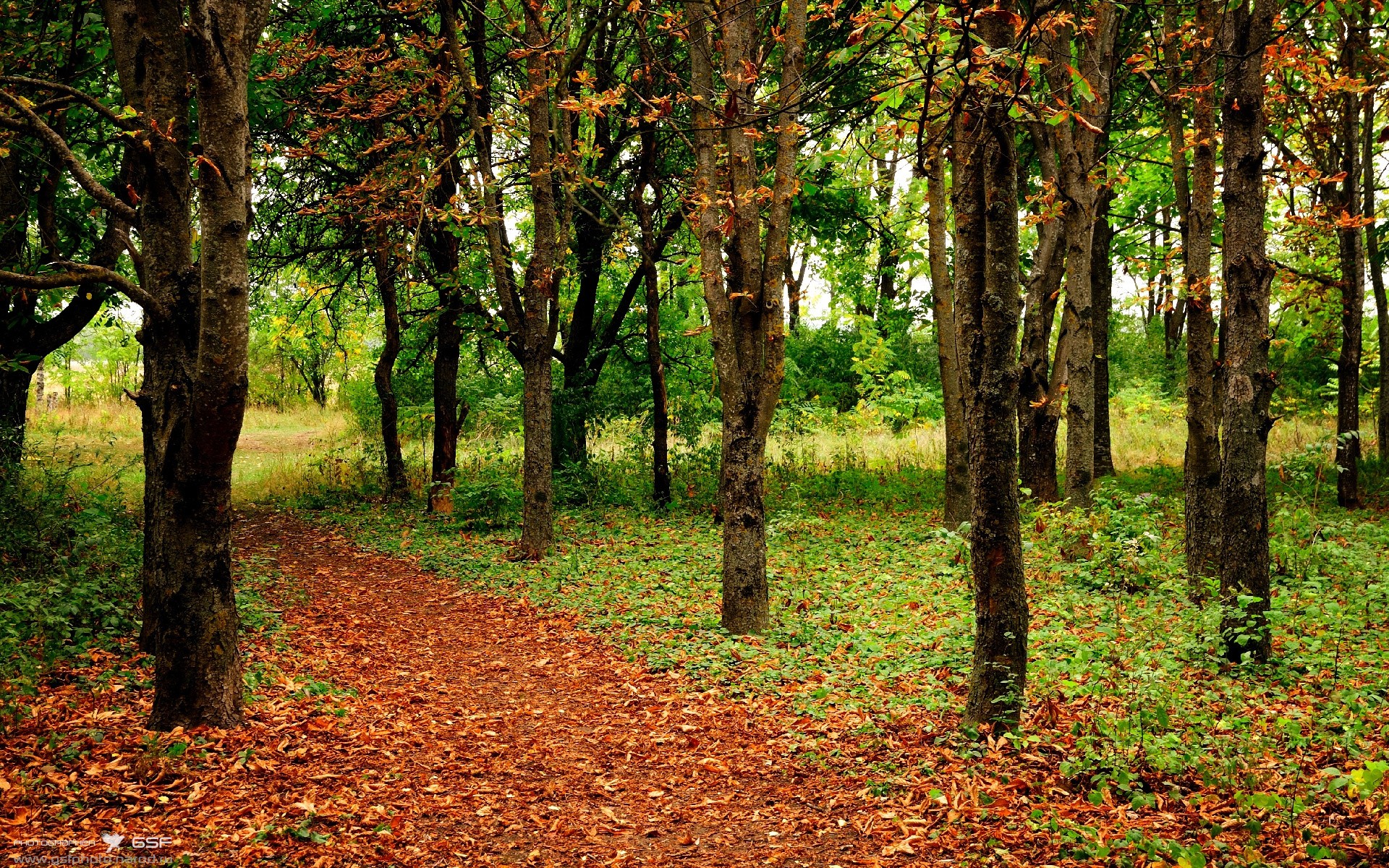 新秀球员突破上篮精彩瞬间频登热搜成为新一代人气偶像,篮球明星新秀