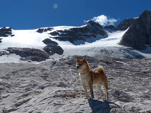 欧洲杯激烈角逐：战术层层推进，精彩纷呈，欧洲杯进阶
